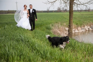 12182939_883514175076821_2309907653981859307_o